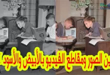 كيفية تحويل الصور والفيديوهات في تويتر إلى الأبيض والأسود بالذكاء الاصطناعي.