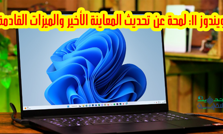 اخر تحديث معاينة لويندوز 11